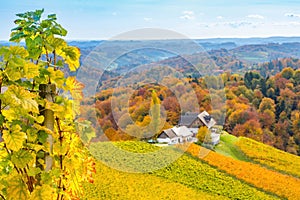 Autumn at South Styria vineyards Austrian Tuscany, a charming region on the border between Austria and Slovenia with rolling