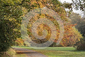 Autumn on southampton common