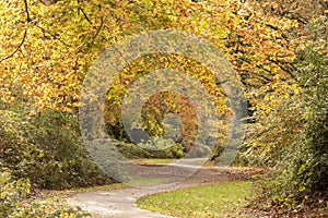 Autumn on southampton common