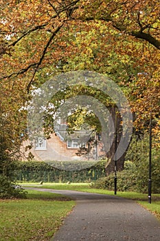 Autumn on southampton common