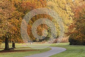 Autumn on southampton common