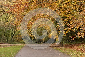 Autumn on southampton common