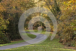 Autumn on southampton common