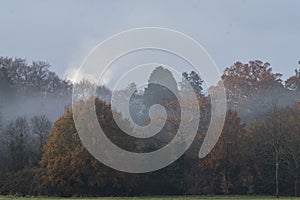 Autumn on southampton common