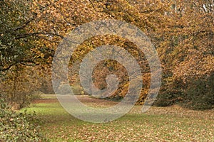 Autumn on southampton common