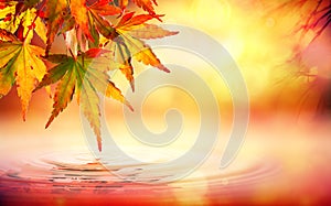 Autumn spa background with red leaves