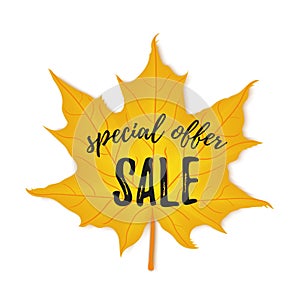 Autumn special offer sale flyer colorful template with bright october leaf. Poster, banner design for seasonal sale