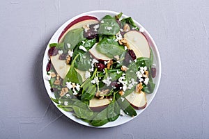 Autumn spinach salad with apple cheese , walnut and dried cranberry . Healthy vegetarian food