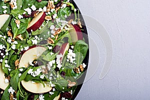 Autumn spinach salad with apple cheese , walnut and dried cranberry . Healthy vegetarian food