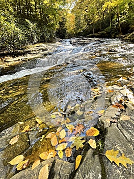 Autumn splendor  in the Youghiogheny River Gorge