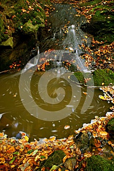 Herbst frühling 