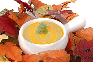 Autumn Squash Soup