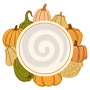 Autumn squashes round frame. Vector illustration.