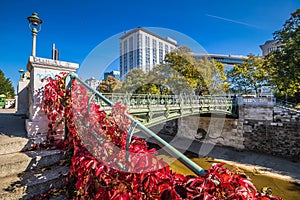 Autumn in Stadtpark - City Park - Vienna