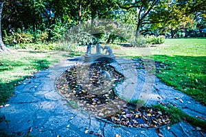 Autumn in Stadtpark - City Park - Vienna