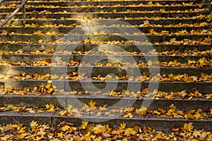 Autumn staircase