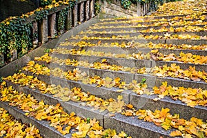 Autumn staircase