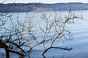 Autumn at Starnberger See, blue sky