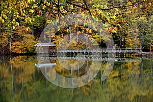 Autumn and Steele Creek Lake and Pavilion photo