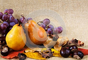 Autumn still life