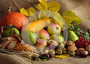 Autumn Still-life