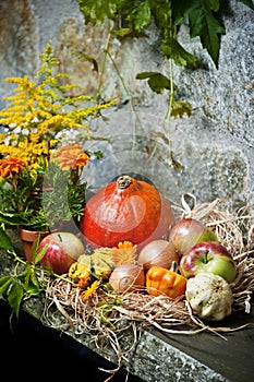 Autumn still life