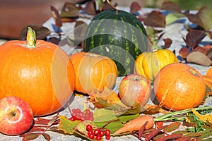 Autumn still life