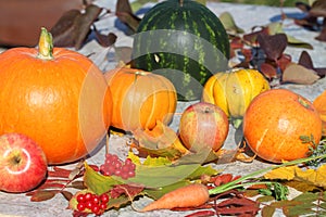 Autumn still life