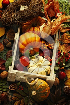 Autumn still life