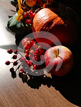 Autumn still life with apple and pumpkin stock images