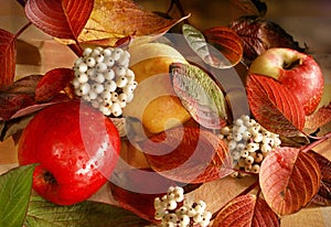 Autumn still life with apples