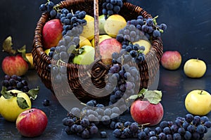 Autumn still life with apples and grapes located on a dark background, Apples and grapes in a basket