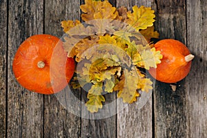 Autumn still life. Autumn oak leaves and pumpkins on wooden board. Top view, vintage style. Flat lay. Thanksgiving day