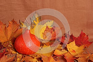 Autumn still life, background. Maple leaves and pumpkin. Harvest, thanksgiving. Halloween