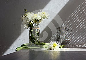 Autumn still life: a bouquet of white dahlias on a green scarf, an alarm clock and a kettle nearby, the rays of the sun, a gray