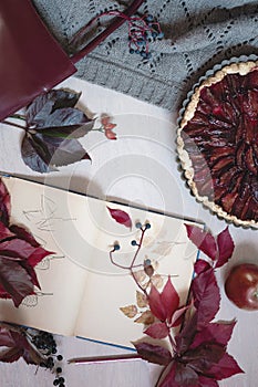 Autumn still life in burgundy colors. Autumn or winter concept. Flat lay, top view