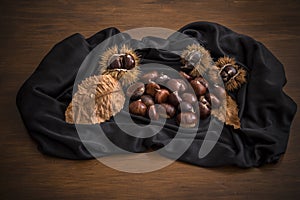 Autumn still life of chestnuts and urchins