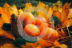 Autumn still-life composition