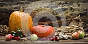 Autumn still life concept with free space for text or congratulations. ripe pumpkins and other fall vegetables and fruits on a