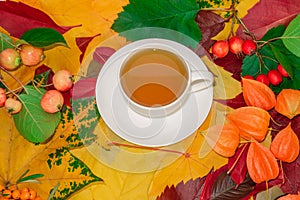 Autumn still life with a cup of hot drink on the background of beautiful fallen leaves