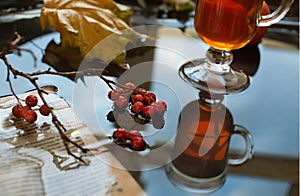 Autumn still life cup of tea , dried leaves and hawthorn berries