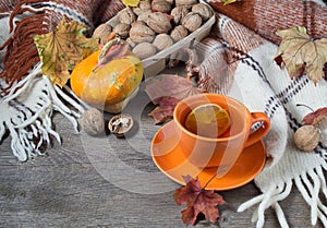 Autumn still life with cup of tea, plaid and leaves