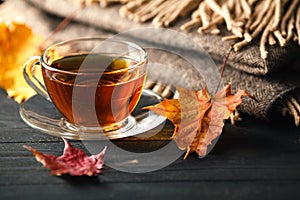 Autumn still life with cup of tea, plaid and leaves on wooden ba