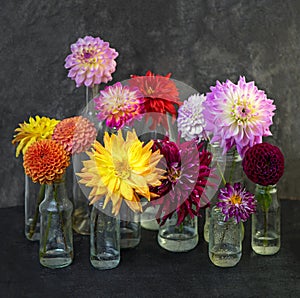 Autumn still life. Dahlias in glasses on a wooden table. View through wet rainy windowPInk white Dahlia flowers, top