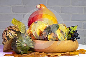 Autumn still life with decorative pumpkins in a wooden bowl with leaves. berries on the background of a white brick wall