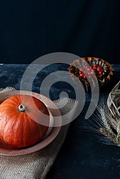 autumn still life in a dramatic style red pumpkin and berries on a dark background