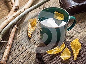 Autumn still-life. Enameled mug, old camera, Notepad, pencil