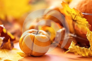 Autumn still life . Fallen maple leaves and orange pumpkins. Autumn harvest