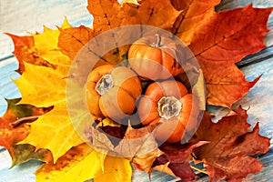 Autumn still life . Fallen maple leaves and orange pumpkins on a wooden blue background. Autumn harvest