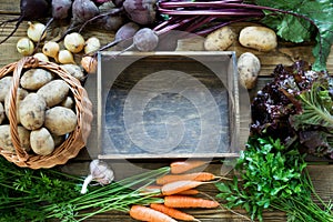 Autumn still life. Fresh fall vegetables, carrot, beetroot, onion, garlic, potato and wooden tray on table. Copy space.